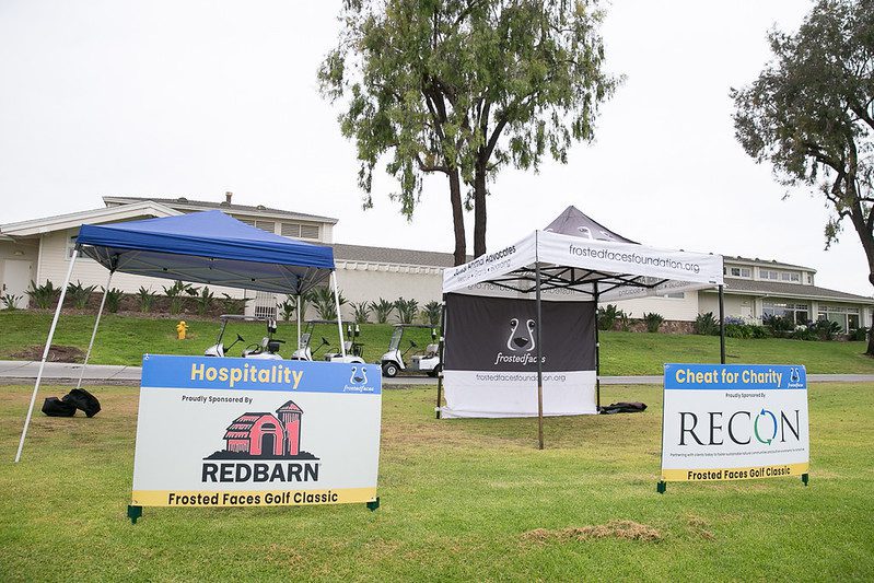 53029793048_f01f43eda7_c